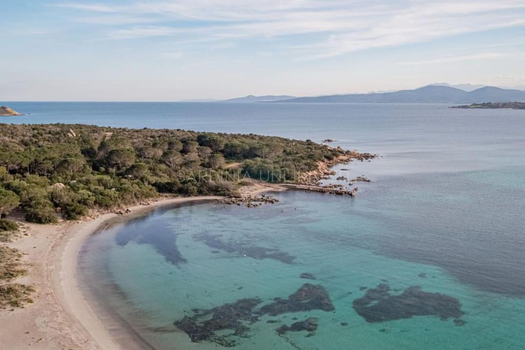 Villa Domus Ardea Capo Coda Cavallo Eksteriør billede